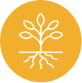 tshirologo-strategic-disability-solutions-icon-what-we-stand-for-resilience